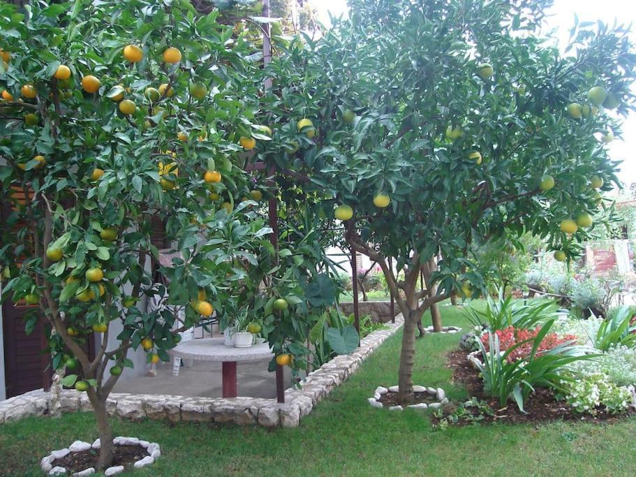 Apartment Mia - Spacious Apartment On 85 M2 With Beautiful Sea View Trogir Exteriér fotografie